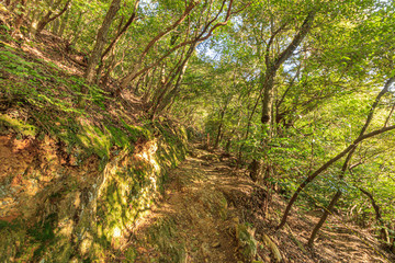 金華山　登山道　岐阜県岐阜市　Mount Kinka　Trail