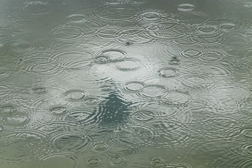 Water circles from rain in nature as a background