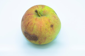 Organic red and yellow apple on a white background, isolated.