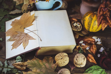 Naklejka na ściany i meble open book and autumn leaves on a wooden background.