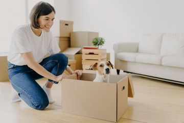 Fototapeta na wymiar Indoor shot of pleased brunette woman dressed in white t shirt and jeans, plays with pedigree dog, moves carton box with animal, pose in living room, buy first new property. Mortgage concept