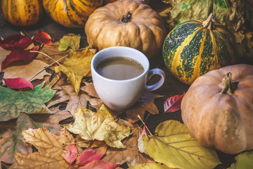 cup of coffee with milk on a background of autumn leaves and pumpkins.