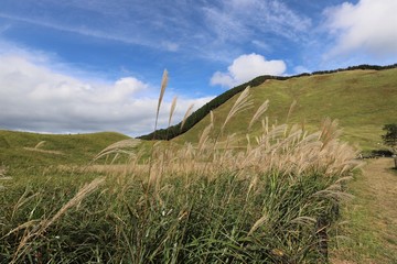 曽爾高原のすすき