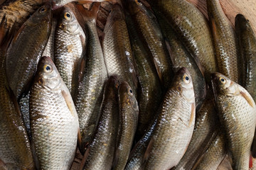 Obraz premium A pile of roach fish on a wooden table. Shop of the local seafood market. Fresh catch of fish. River fish ready for cooking close-up. Natural food ingredient from the river. River fish on the table