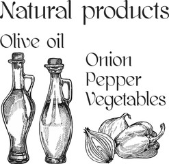 Vegetable oil assorted bottles set. Olive, sunflower, soybean illustration.