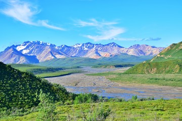 Denali National Park - Alaska 