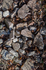 stone rocks on the ground