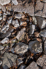 rocks on the ground in the dirt