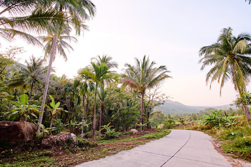 Fototapeta premium Simple stone road in rural part of Samui.