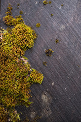 the texture of the marble