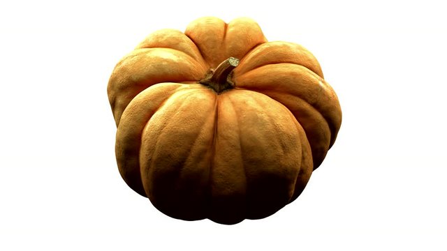 rotating pumpkin on white background with alpha channel . 3d 4K