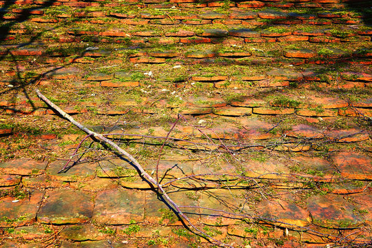 Old Rotted Shingle Roof With Moss And Branches. As An Old Background.