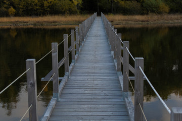 Fototapeta premium bridge in the middle of nature
