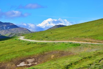Fototapeta na wymiar Road to Denali Mountain - Alaska 