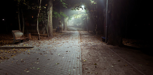 The foggy evening in the autumn park