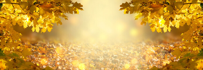 Decorative autumn banner decorated with branches with fall golden yellow maple leaves on background of orange autumnal foliage and shiny glowing bokeh, place for your text, Indian summer. - obrazy, fototapety, plakaty