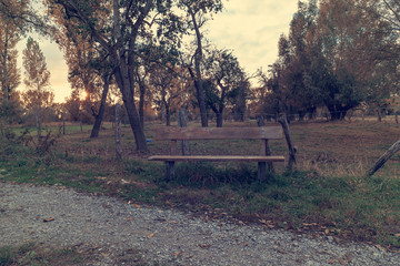 Old bench in the park in autumn