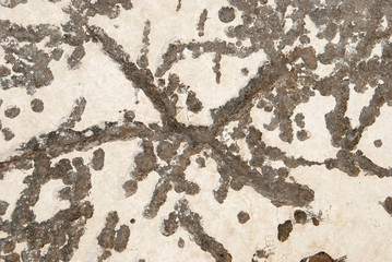 Abstract picture of a natural stone. Stone texture