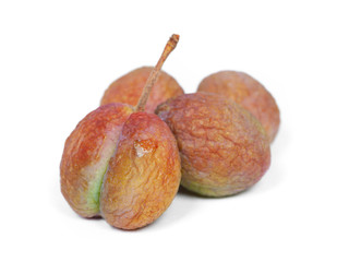 Shriveled plums isolated