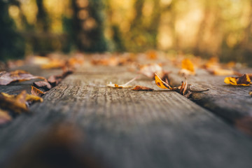 Fall background with dry leaves on a wooden table