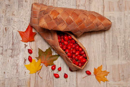 Rosehip berries are stacked in bast shoes.