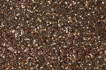 Chia Seed. Natural, annual on white background