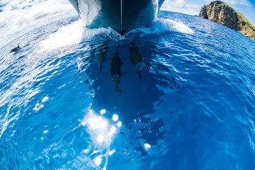 小笠原の凪いだ海　ボートの舳先について泳ぐハシナガイルカ