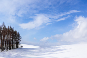 北海道の冬景色