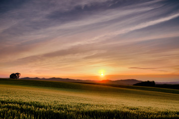 北海道の風景