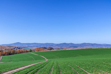 北海道の雄大な風景
