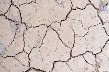 Dry land lacking water