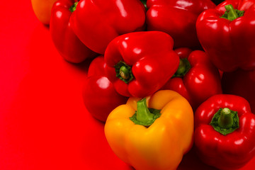 Fresh red, yelow, green bell pepper on a red background.