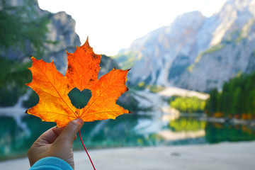 bunter Herbst am Bergsee