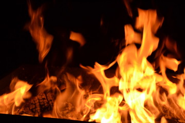 wild dance of night fire