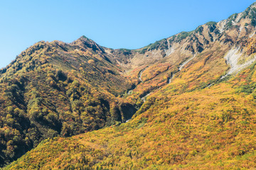 Beautiful landscape Tateyama Kurobe alpine in autumn,The japan alps is one of the most important and popular natural place in Toyama Prefecture, Japan.