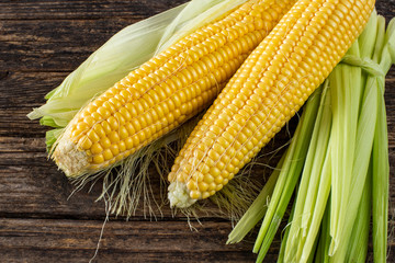 Corns on the wooden rustic table with their cobs