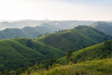 Mountain in the morning, fresh air, Covered with green fields.