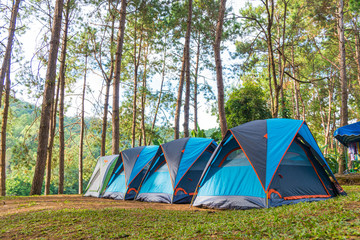 Camping tent on the grass