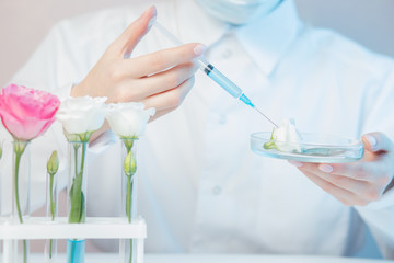 Scientist extracts oil syringe from flowers test natural cosmetics extract aroma. Buds leaf in glass flask. Biotechnology concept