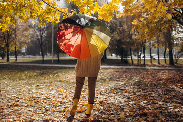 autumn yellow leaf fall conceptual girl park