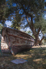 An old boat under the trees