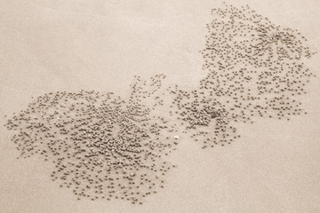 Abstract natural sandy pattern