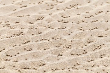 Fototapeta na wymiar Small wet balls on sand