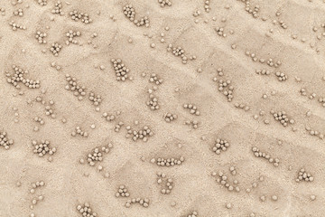 Small balls on sand, natural photo