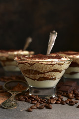 Tiramisu - traditional italian dessert from mascarpone cheese and biscuit. No baked chessecake.
