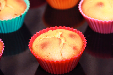 baked biscuit muffins with raisins in multi-colored silicone molds