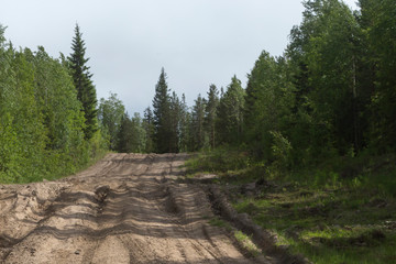 Obraz premium Russia. Arkhangelsk region. Nenoksa. Forest dirt muddy road.