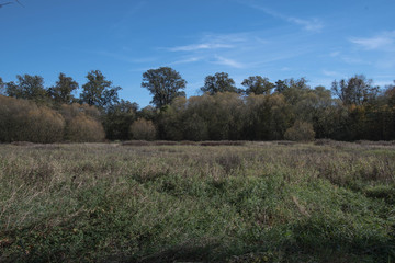 Jesień we Wrocławiu