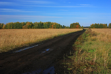 Fototapeta na wymiar Muddy road in the field