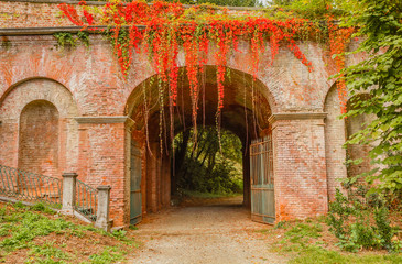 the colorful foliage of beech tree adorns a brick arch /an entrance to a park in the fall